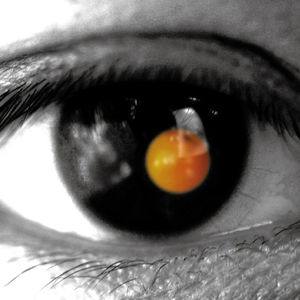 投放邮件小鲤导航
