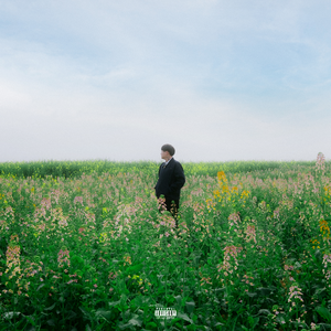 投放邮件小鲤导航
