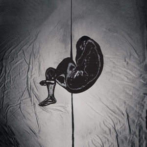 投放邮件小鲤导航
